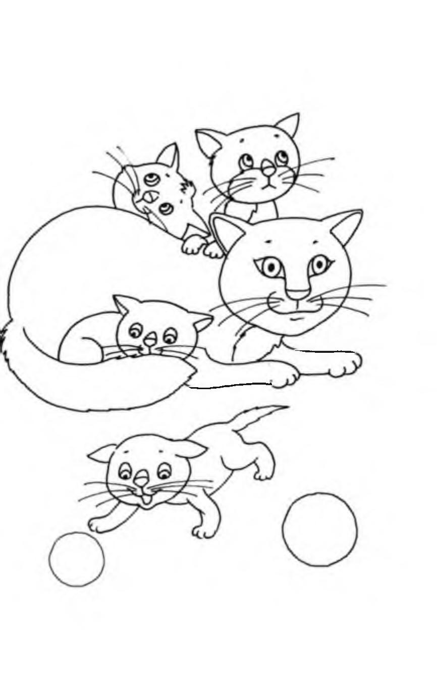 Раскраска Кошка и четыре котенка